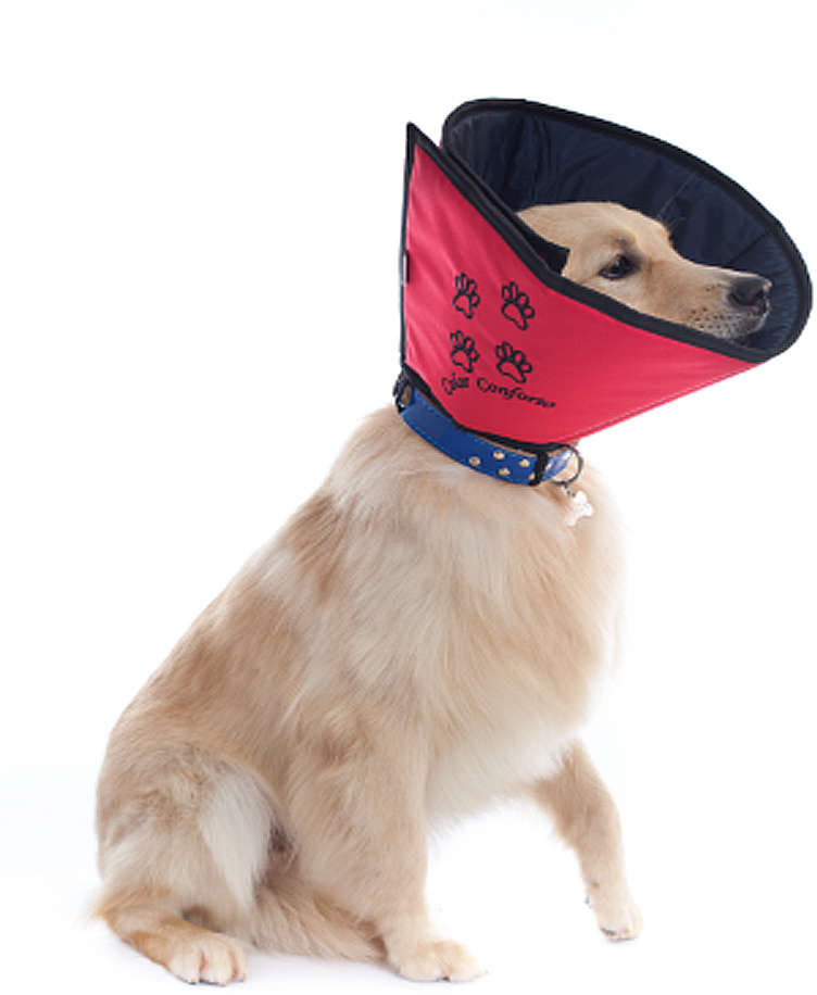 Colar Conforto Pet Med Color para Cães - Tam. 07
