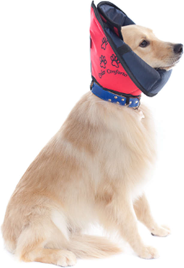 Colar Conforto Pet Med Color para Cães - Tam. 07