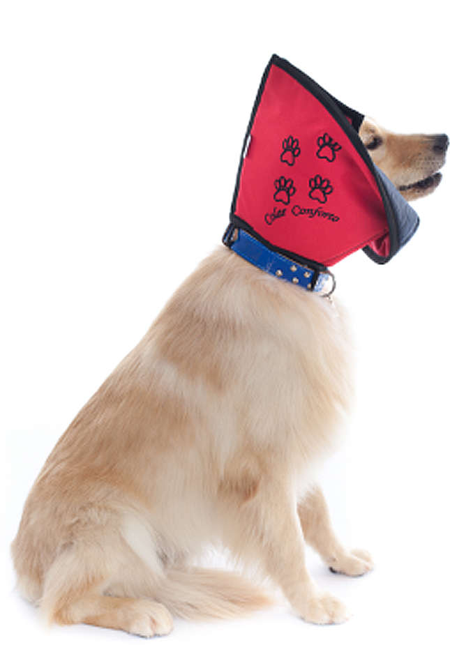Colar Conforto Pet Med Color para Cães - Tam. 07