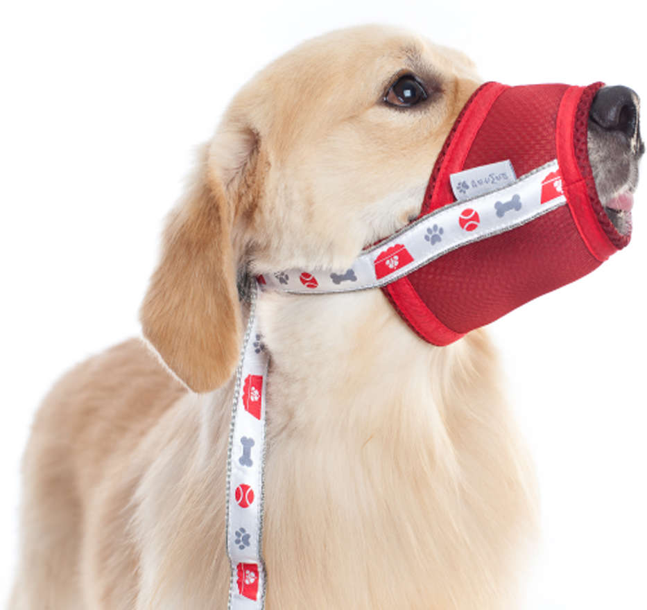Focinheira Conforto Pet Med Vermelha para Cães - Tam. 06