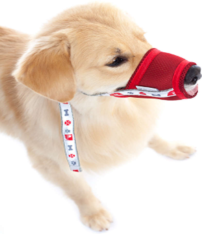 Focinheira Conforto Pet Med Vermelha para Cães - Tam. 06