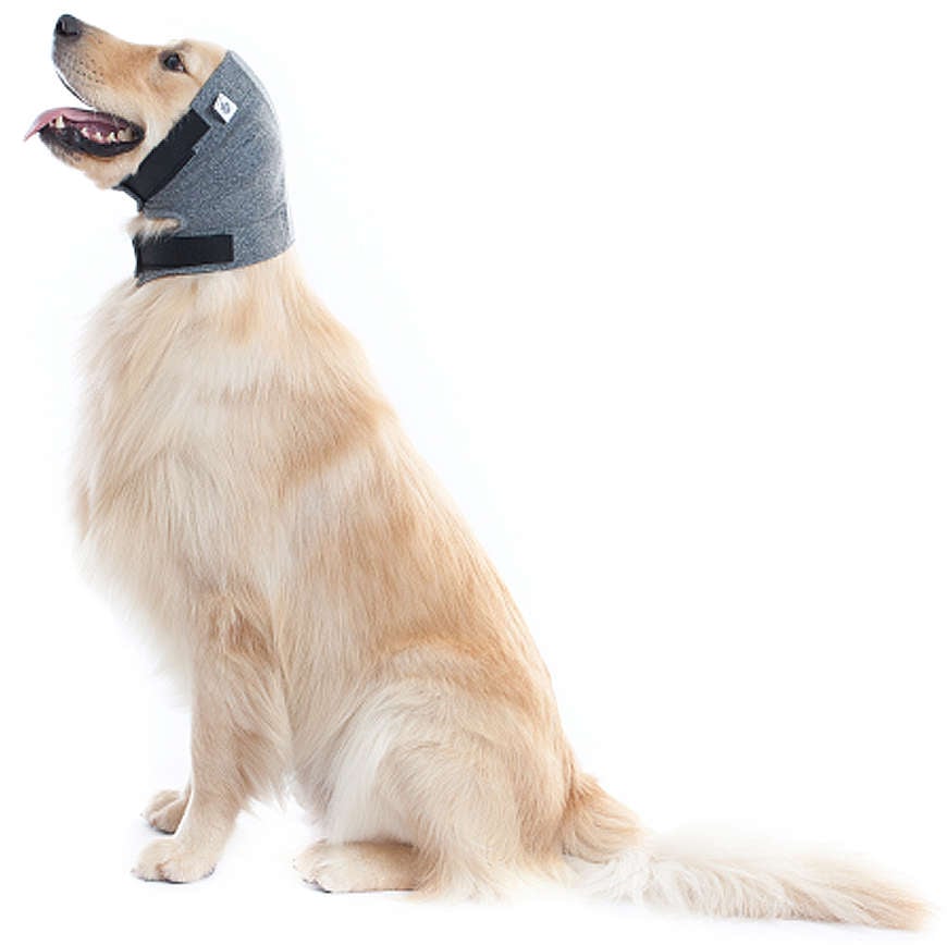 Protetor de Orelhas Plus Pet Med Color para Cães - Tam. 01