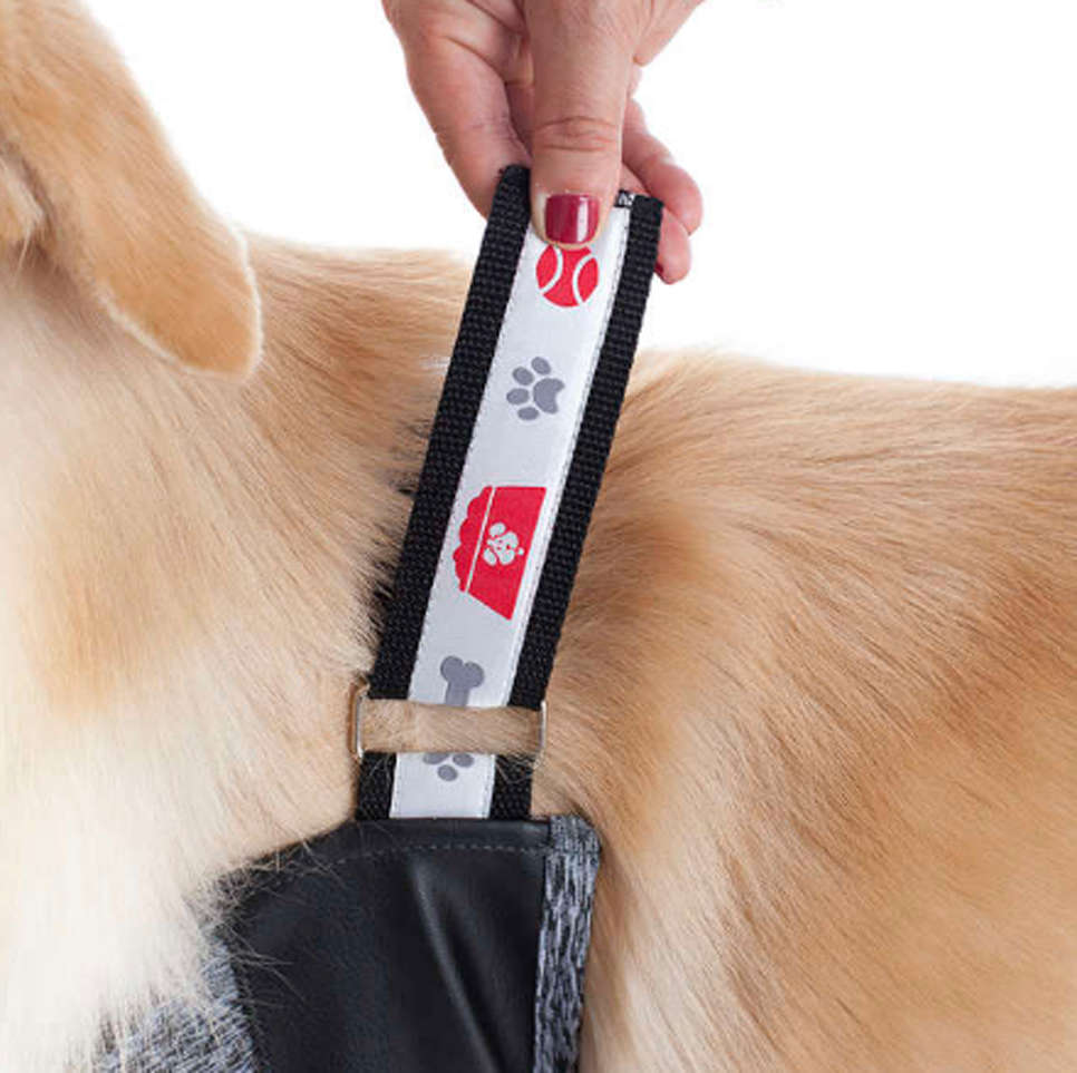 Protetor de Higroma Duo Dry Pet Med Color para Cães - Tam. 09