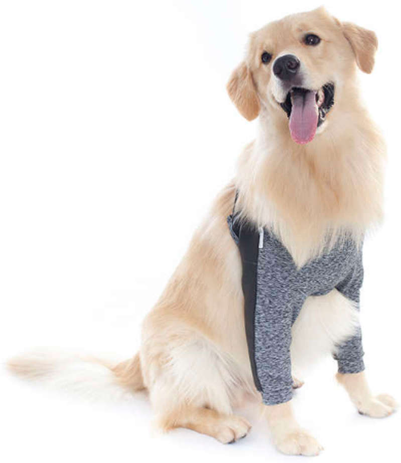 Protetor de Higroma Duo Dry Pet Med Color para Cães - Tam. 09