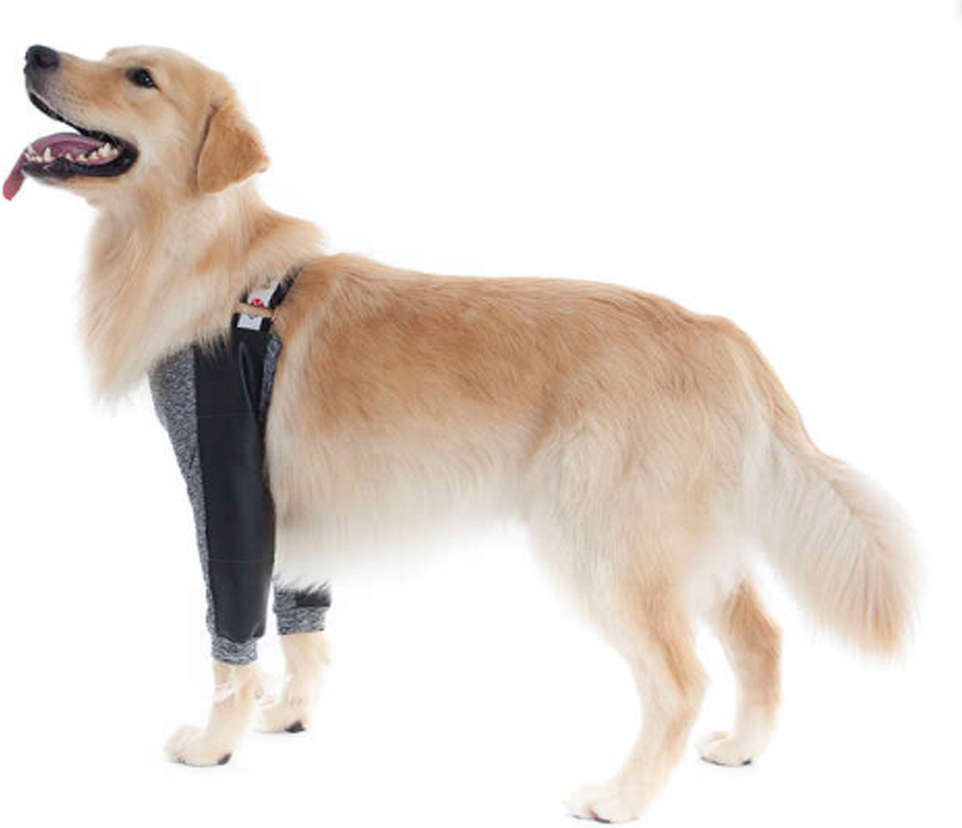 Protetor de Higroma Duo Dry Pet Med Color para Cães - Tam. 09