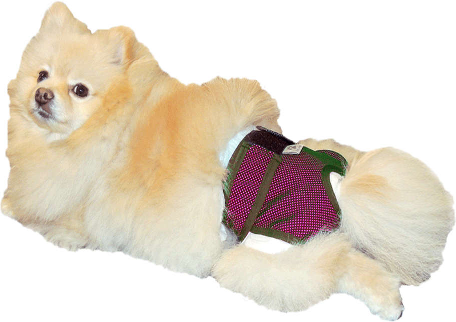 Protetor Higiênico Pet Med para Fraldas & Cio Rosa para Cães - Tam. 00