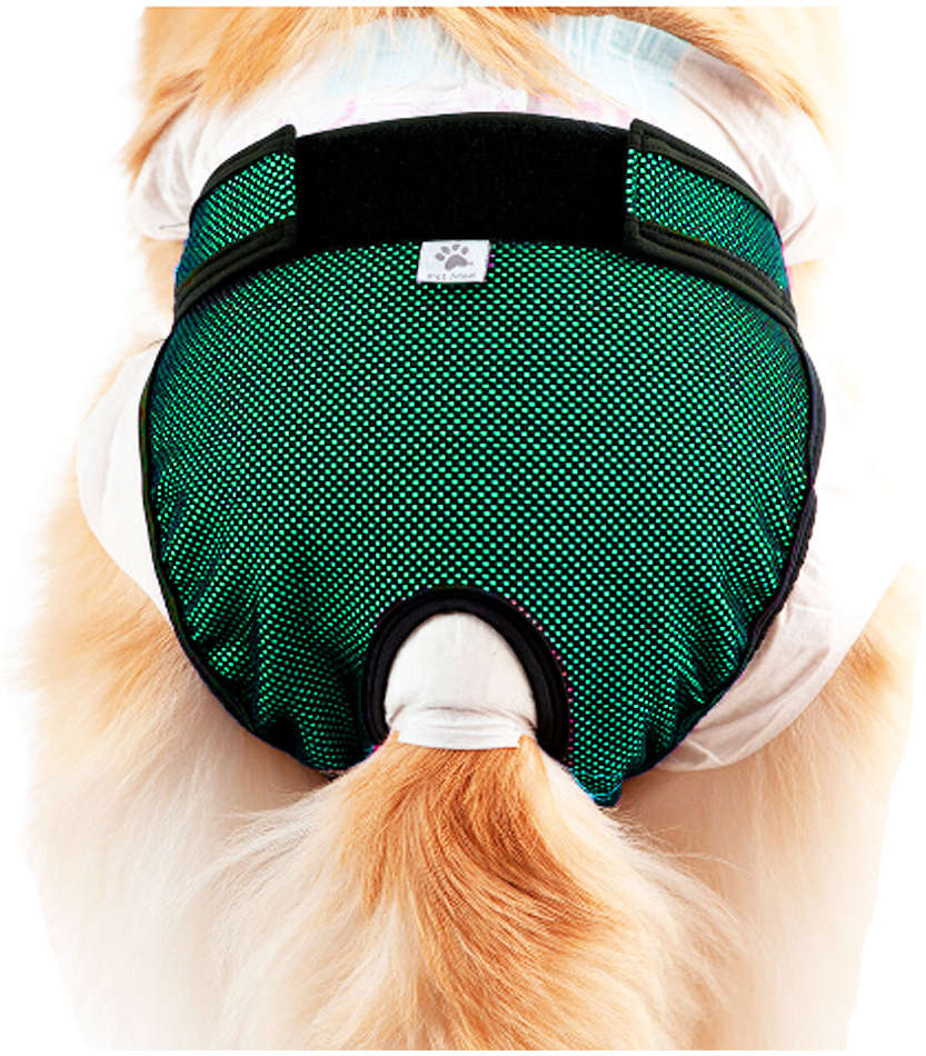 Protetor Higiênico Pet Med para Fraldas & Cio Verde para Cães - Tam. 00