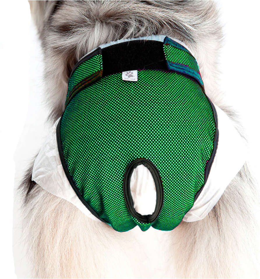 Protetor Higiênico Pet Med para Fraldas & Cio Verde para Cães - Tam. 00