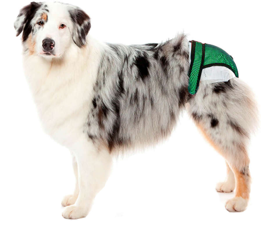 Protetor Higiênico Pet Med para Fraldas & Cio Verde para Cães - Tam. 00