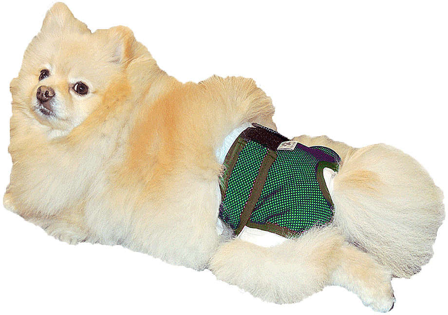 Protetor Higiênico Pet Med para Fraldas & Cio Verde para Cães - Tam. 00