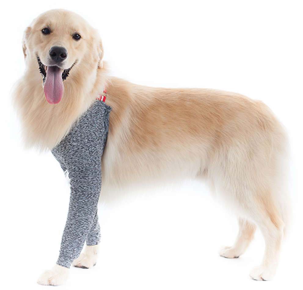 Protetor de Membros Anteriores Pet Med Duo Dry Color para Cães - Tam. 00