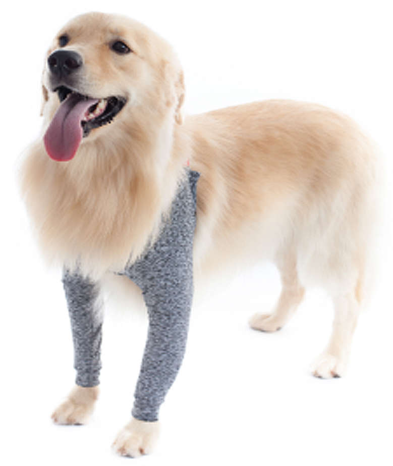 Protetor de Membros Anteriores Pet Med Duo Dry Color para Cães - Tam. 00