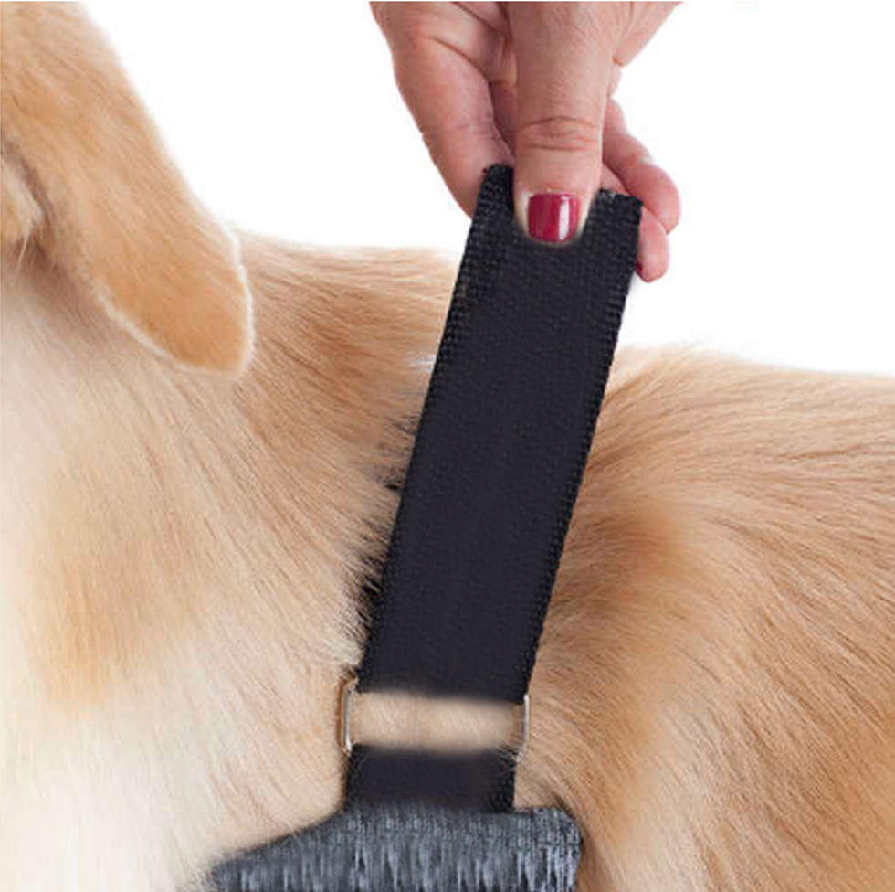 Protetor de Membros Anteriores Pet Med Duo Dry Color para Cães - Tam. 00