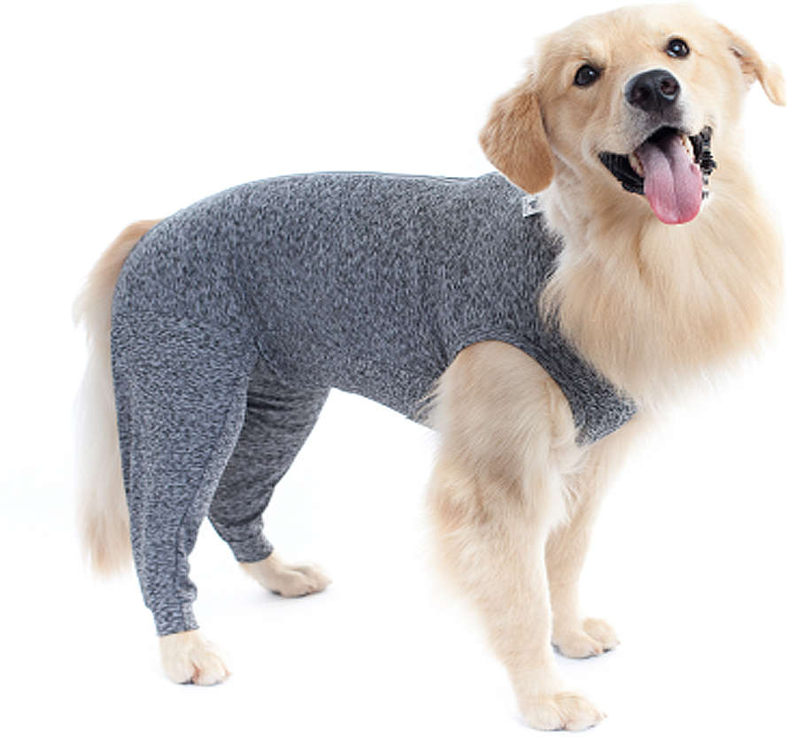 Protetor de Membros Posteriores Pet Med Duo Dry Color para Cães - Tam. 15