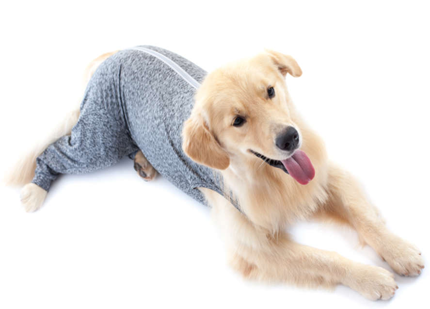Protetor de Membros Posteriores Pet Med Duo Dry Color para Cães - Tam. 15