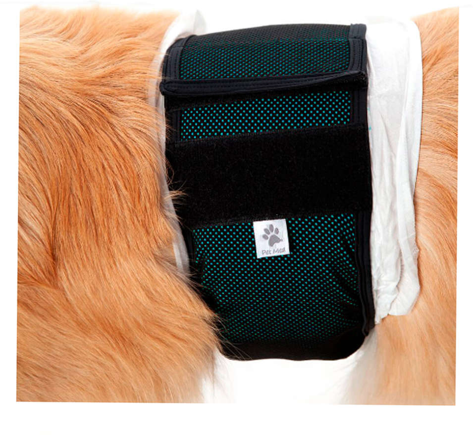 Protetor Higiênico Pet Med Verde para Fraldas de Cães Machos - Tam. 02