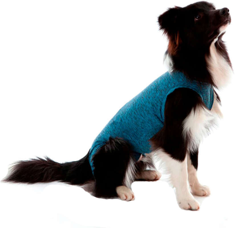 Roupa Pós Castração Pet Med Duo Dry Azul para Cães Macho - Tam. 15