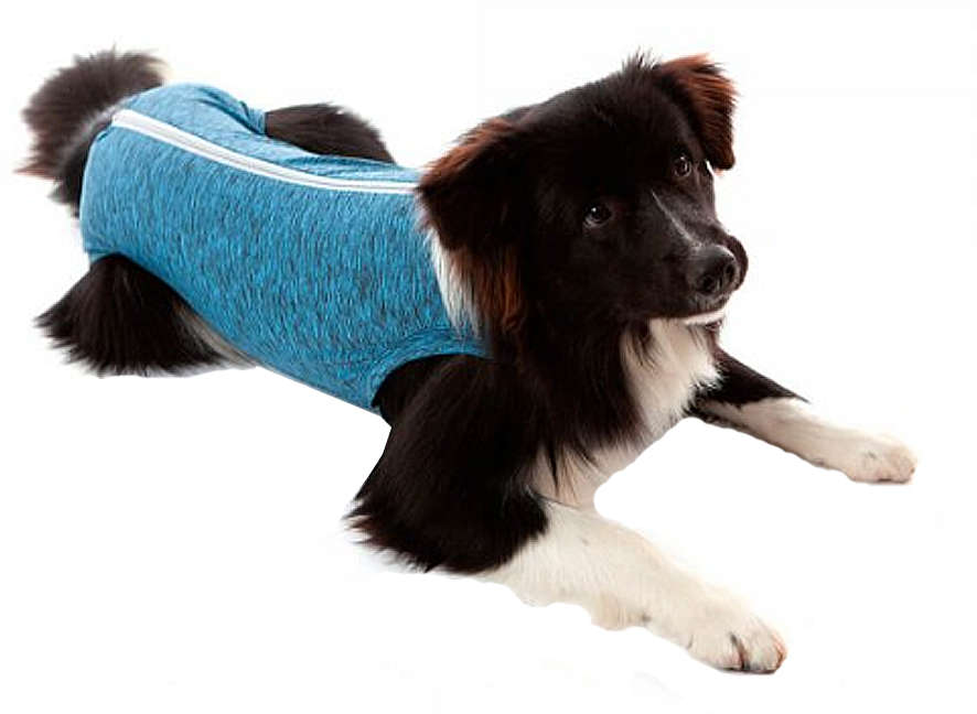 Roupa Pós Castração Pet Med Duo Dry Azul para Cães Macho - Tam. 15
