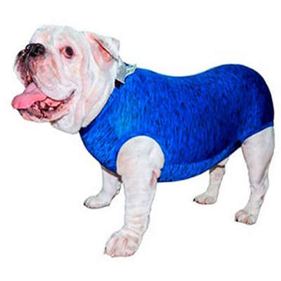 Roupa Pós Castração Pet Med Fit Dry para Buldogue Inglês Macho Color