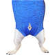 Roupa Pós Castração Pet Med Fit Dry para Buldogue Inglês Macho Color