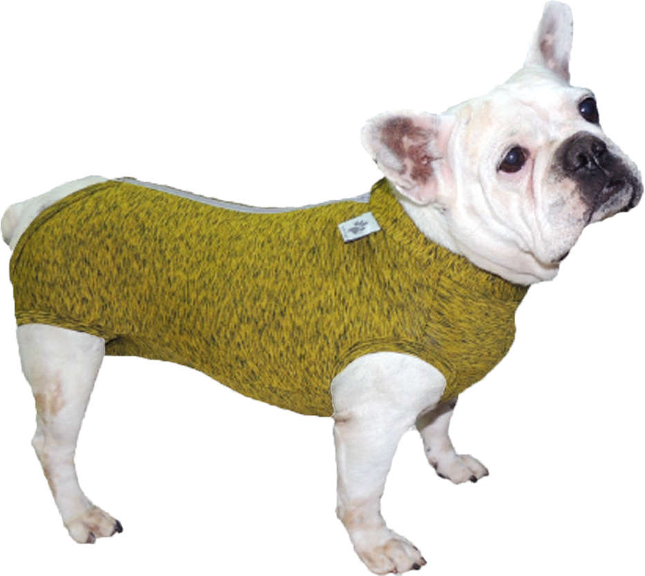 Roupa Pós Castração Pet Med Fit Dry Buldogue Francês Color - Tam. P