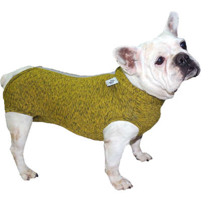 Roupa Pós Castração Pet Med Fit Dry Buldogue Francês Color