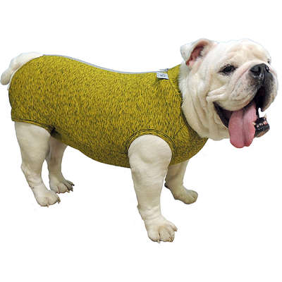 Roupa Pós Castração Pet Med Fit Dry Buldogue Inglês Color