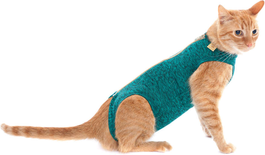 Roupa Pós Castração Pet Med Duo Dry Verde para Gatos - Tam. 05