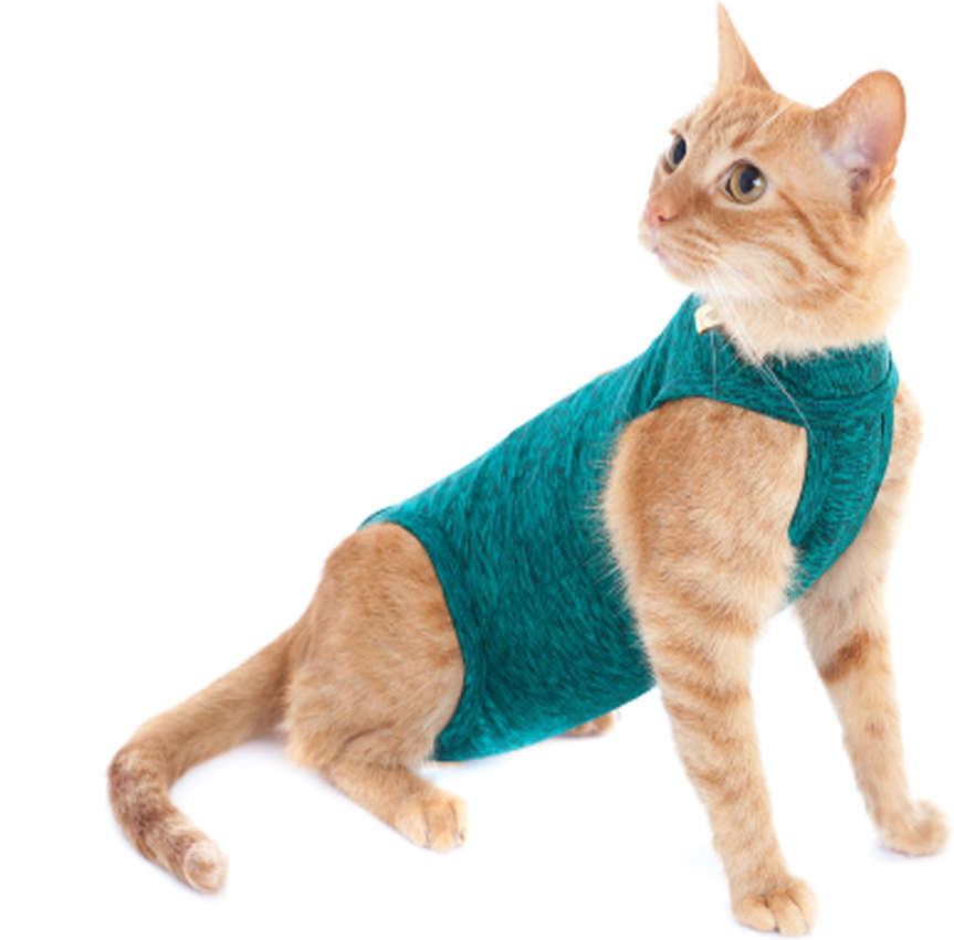 Roupa Pós Castração Pet Med Duo Dry Verde para Gatos - Tam. 05