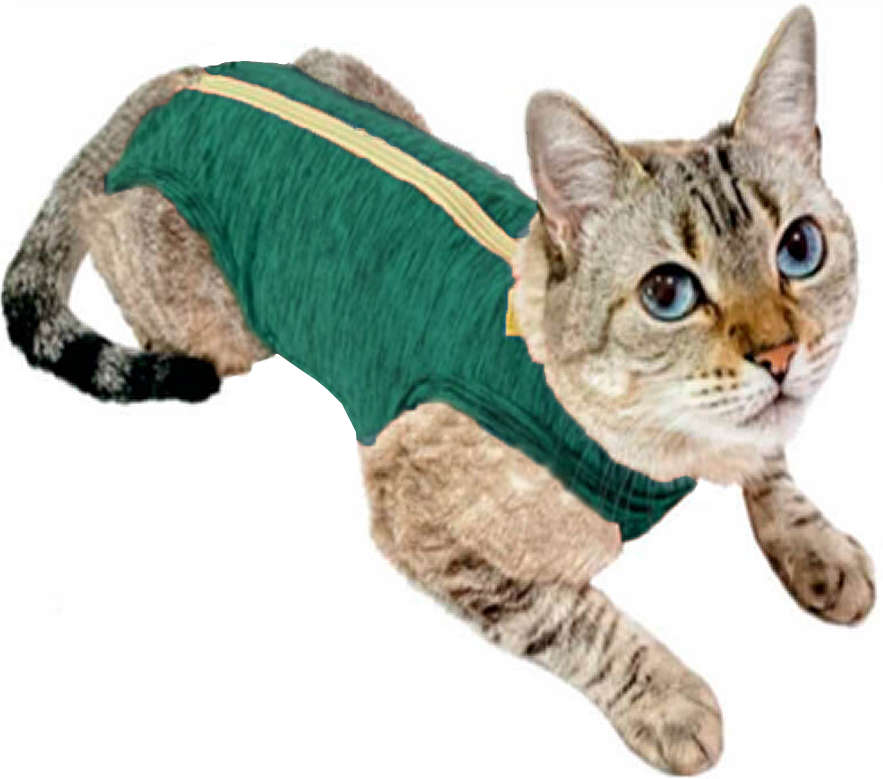 Roupa Pós Castração Pet Med Duo Dry Verde para Gatos - Tam. 05