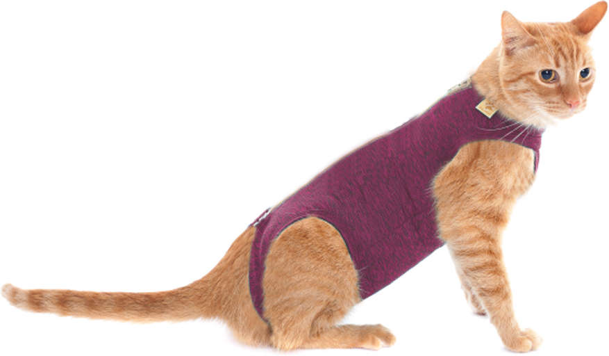 Roupa Pós Castração Pet Med Duo Dry Rosa para Gatos - Tam. Mini