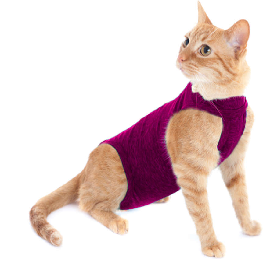 Roupa Pós Castração Pet Med Duo Dry Rosa para Gatos - Tam. Mini
