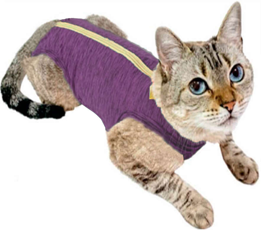 Roupa Pós Castração Pet Med Duo Dry Rosa para Gatos - Tam. Mini