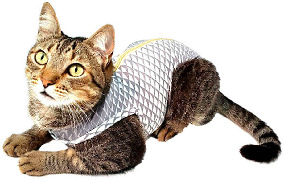 Roupa Pós Castração Pet Med Ultralight Color Cinza Geo para Gatos - Tam. 04