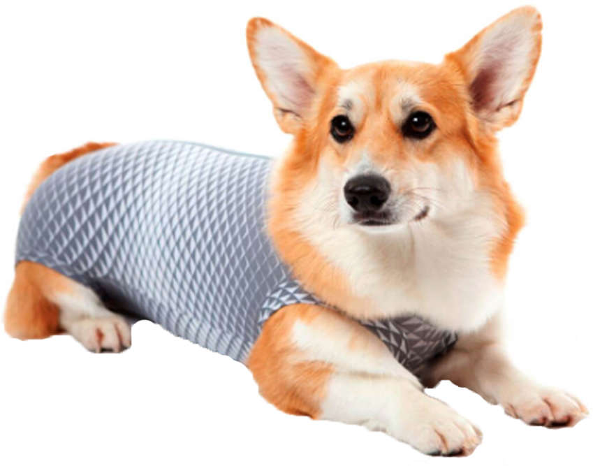 Roupa Pós Castração Pet Med Ultralight Color Cinza Geo para Cães - Tam. 14