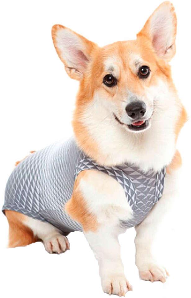 Roupa Pós Castração Pet Med Ultralight Color Cinza Geo para Cães - Tam. 14