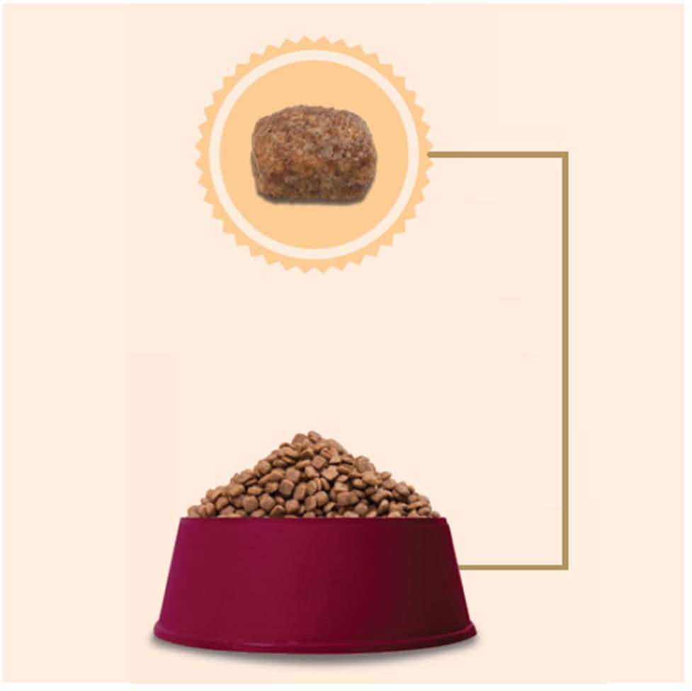 Ração GranPlus Menu Carne e Arroz para Cães Adultos Mini - 15Kg