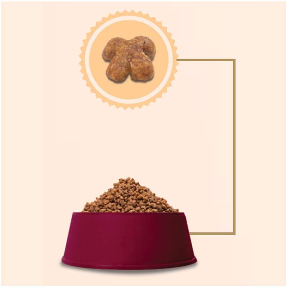 Ração GranPlus Salmão e Arroz para Gatos Adultos - 10,1Kg