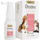 Antibiótico UCBVET Dermac Otodex para Cães e Gatos