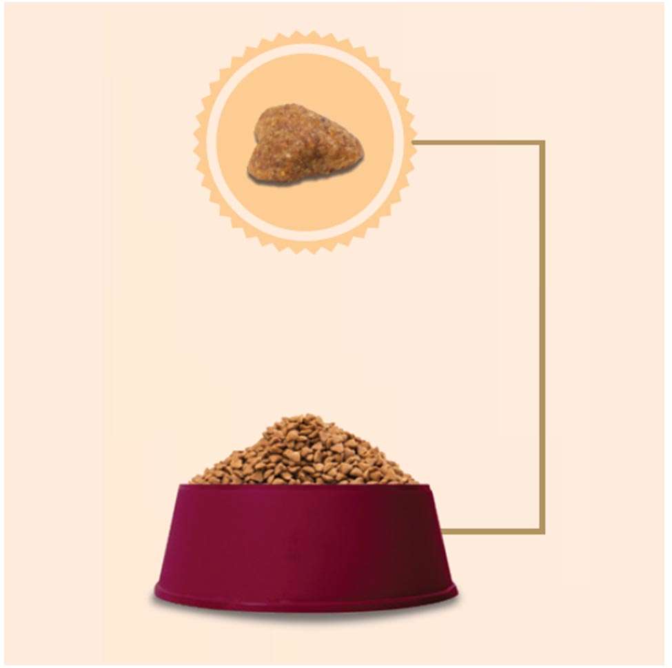 Ração GranPlus Carne e Arroz para Gatos Castrados - 10,1Kg