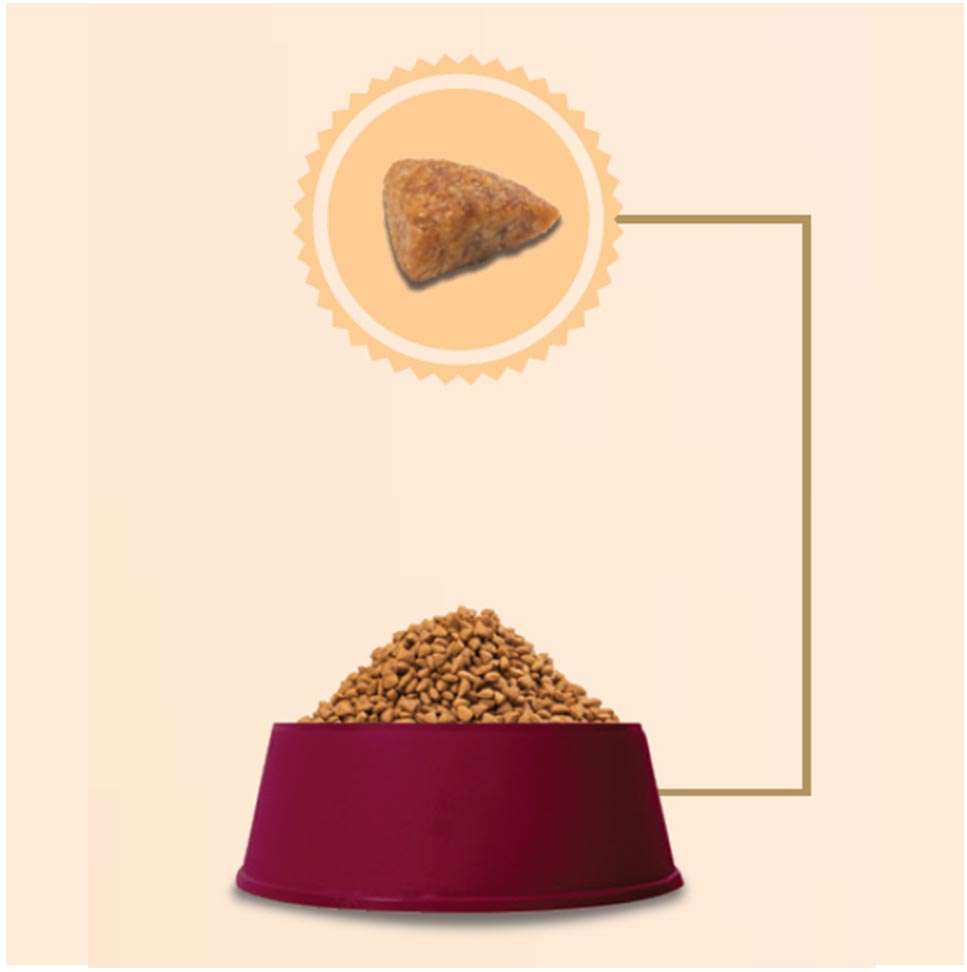 Ração GranPlus Frango e Arroz Gatos Castrados Adultos - 10,1Kg