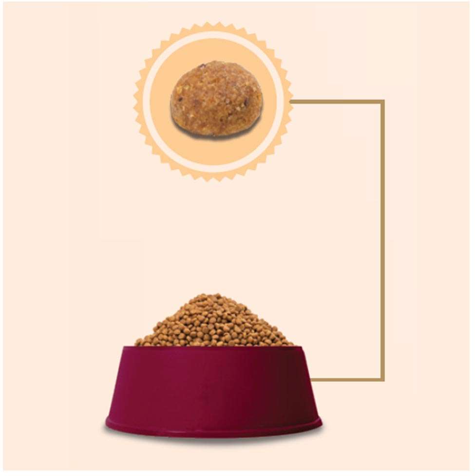 Ração GranPlus Salmão e Arroz para Gatos Castrados - 10,1Kg