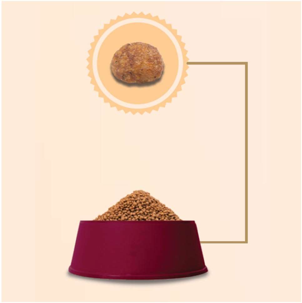 Ração GranPlus Frango e Arroz para Gatos Filhotes - 3Kg