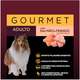Ração Úmida Affinity GranPlus Gourmet Sachê Salmão & Frango para Cães Adultos
