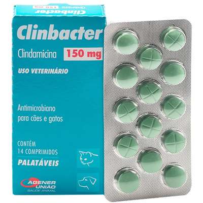 Antimicrobiano Agener União Clinbacter para Cães e Gatos