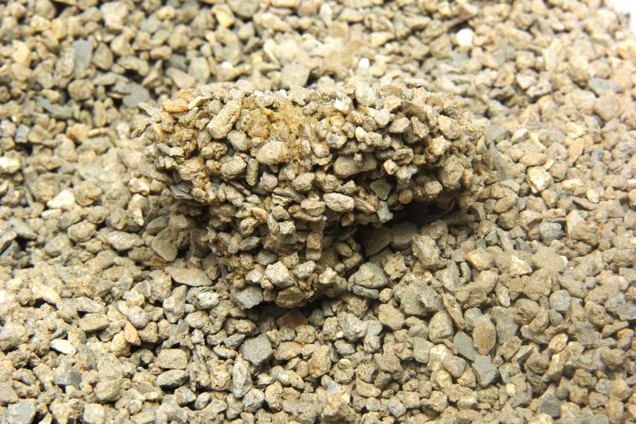 Areia Sanitária Meau Grãos Médios para Gatos - 12Kg
