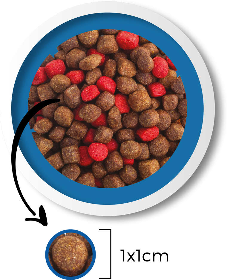 Ração Seca Japi Tradicional Premium Carne para Cães Adultos - 15Kg
