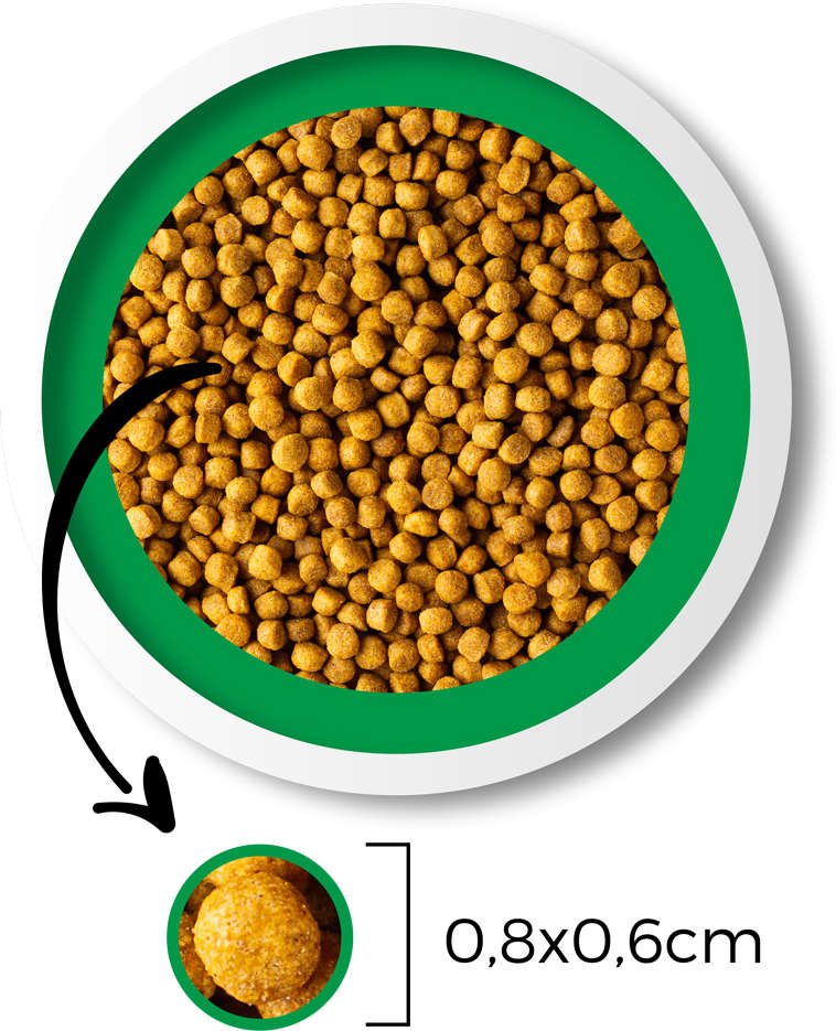 Ração Seca Besser Natural Premium para Cães Adultos Raças Pequenas e Médias - 20Kg