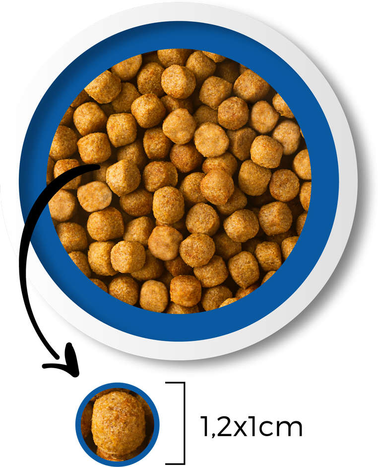 Ração Seca Besser Natural Premium para Cães Adultos - 25Kg
