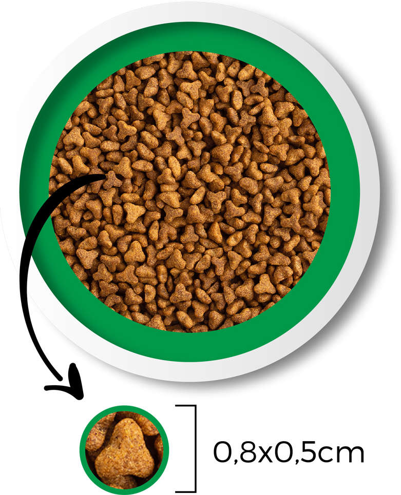 Ração Seca Besser Natural Premium para Gatos Adultos - 20Kg